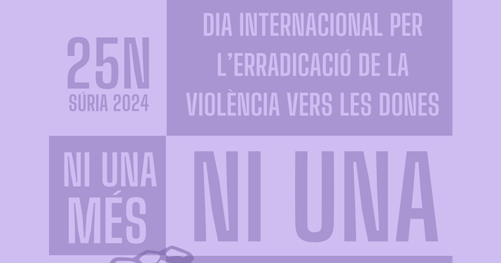 PROGRAMA DEL DIA INTERNACIONAL PER L'ERRADICACIO DE LA VIOLENCIA VERS LES DONES