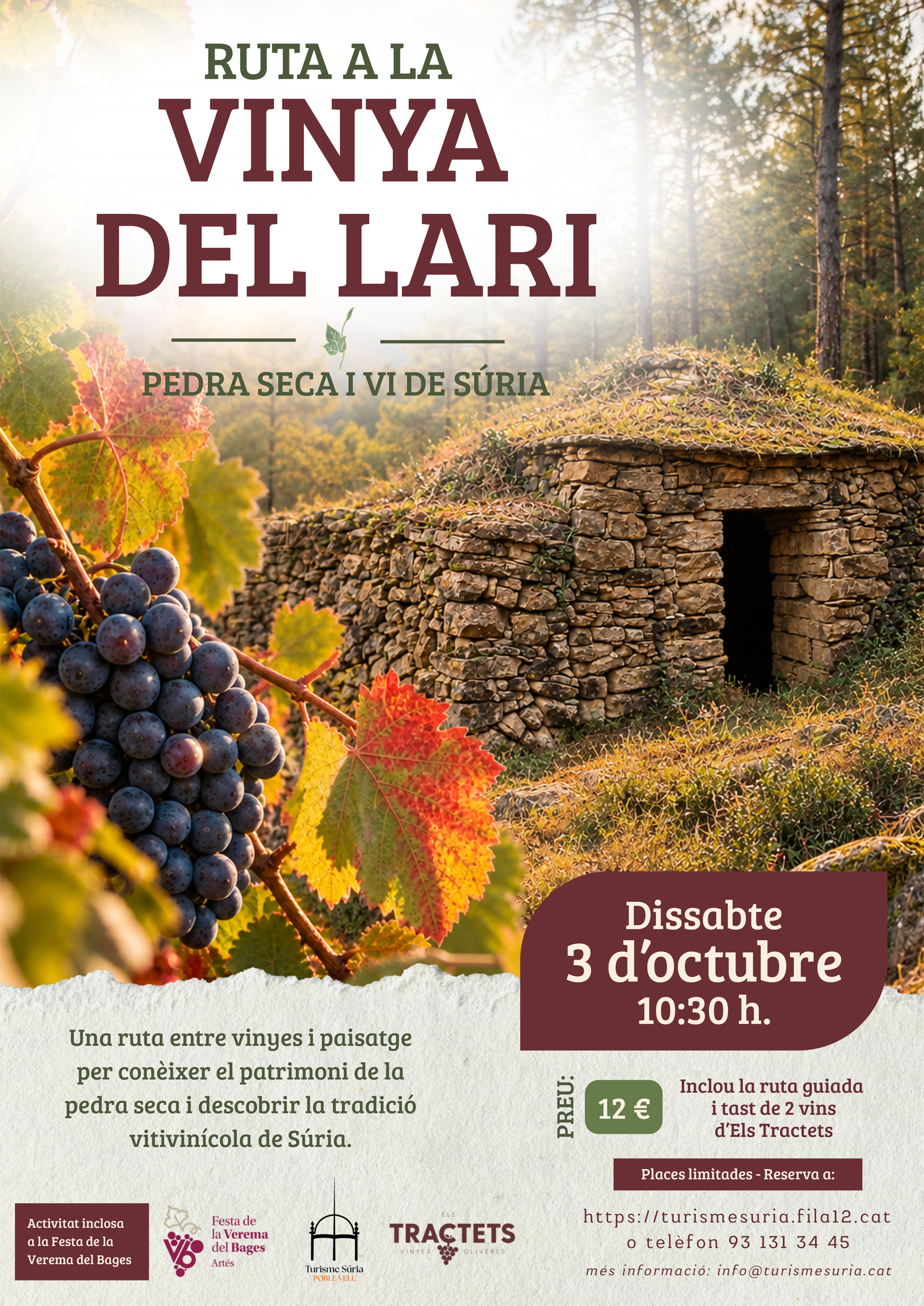 Festa de la Verema del Bages: Ruta a la Vinya del Lari
