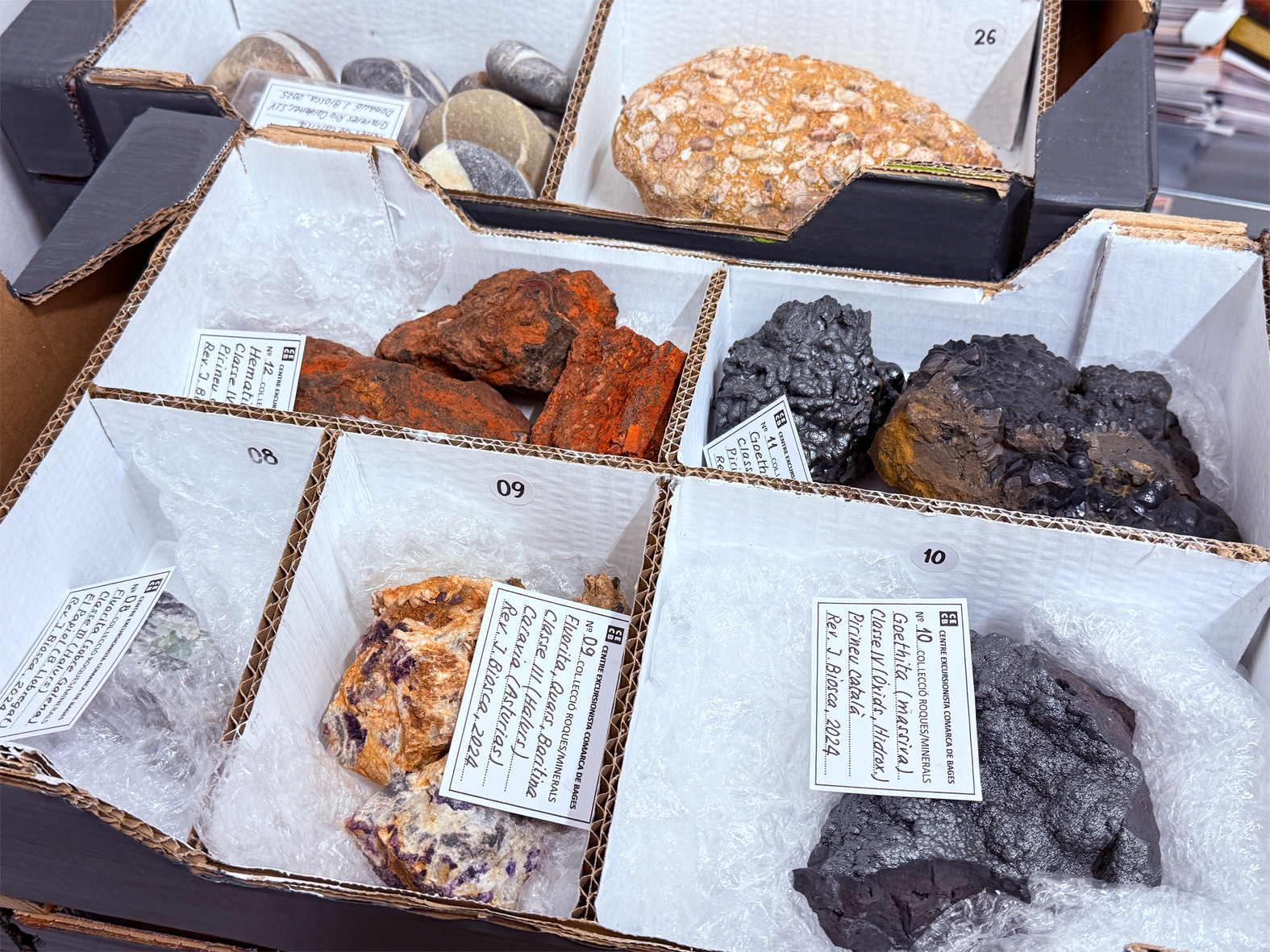 Peces de la col·lecció de mineralogia del Centre Excursionista de la Comarca de Bages.