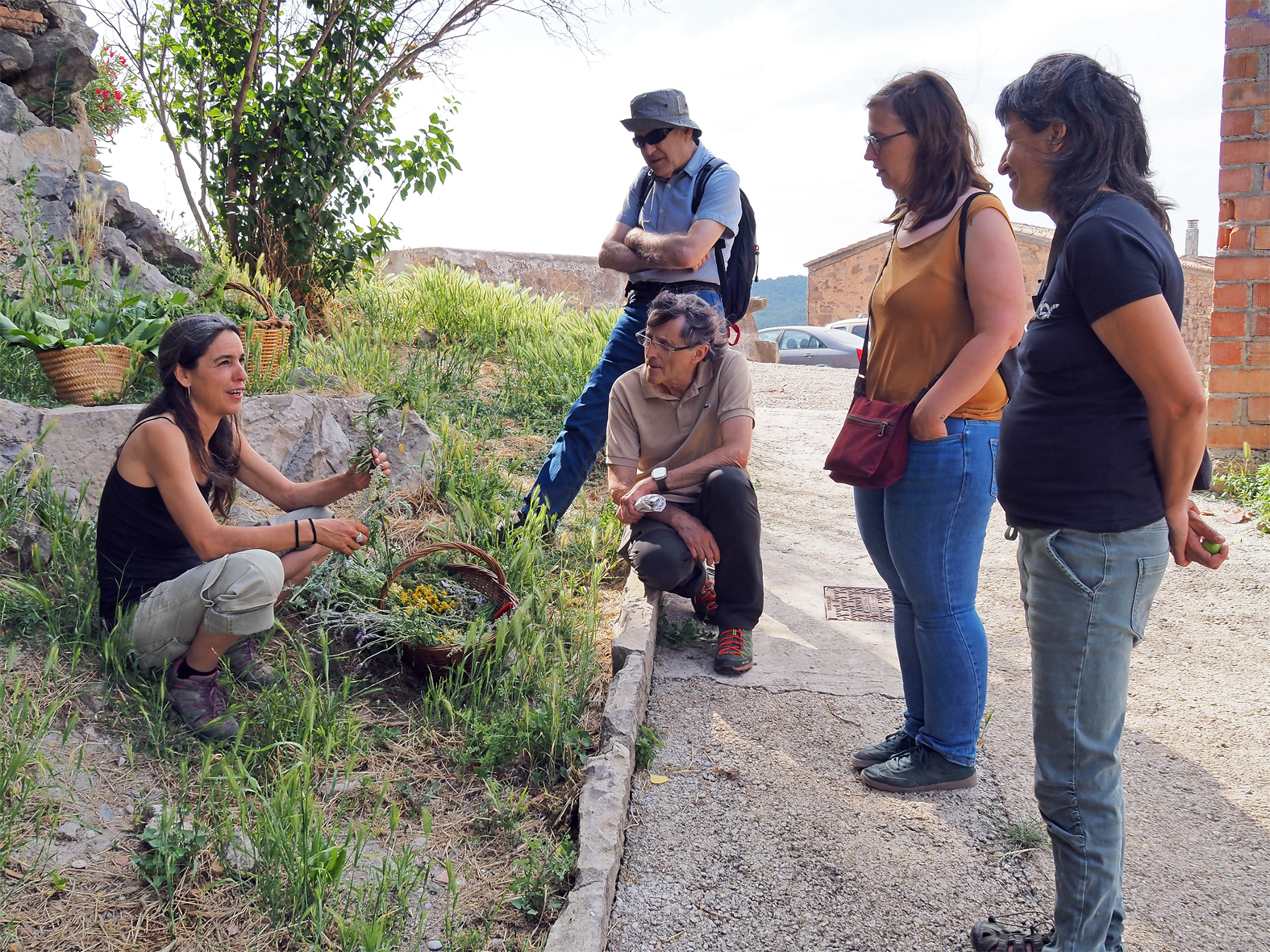 Taller de recol·lecta d'herbes remeieres per a ratafia a l'entorn de l'Era del Castell, dins de la Setmana de la Natura.