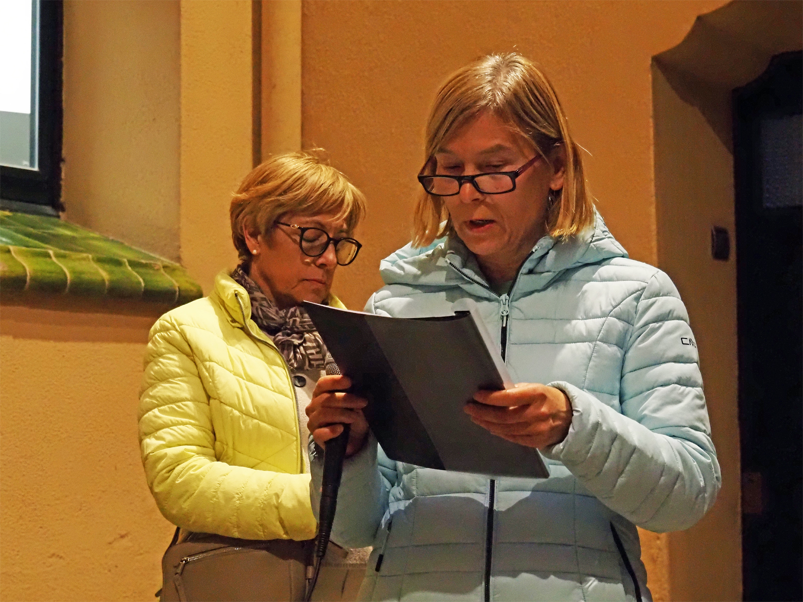 Lectura del manifest durant lâ€™acte central del Dia Internacional per a lâ€™eliminaciÃ³ de la violÃ¨ncia contra les dones, a la Casa de la Vila.