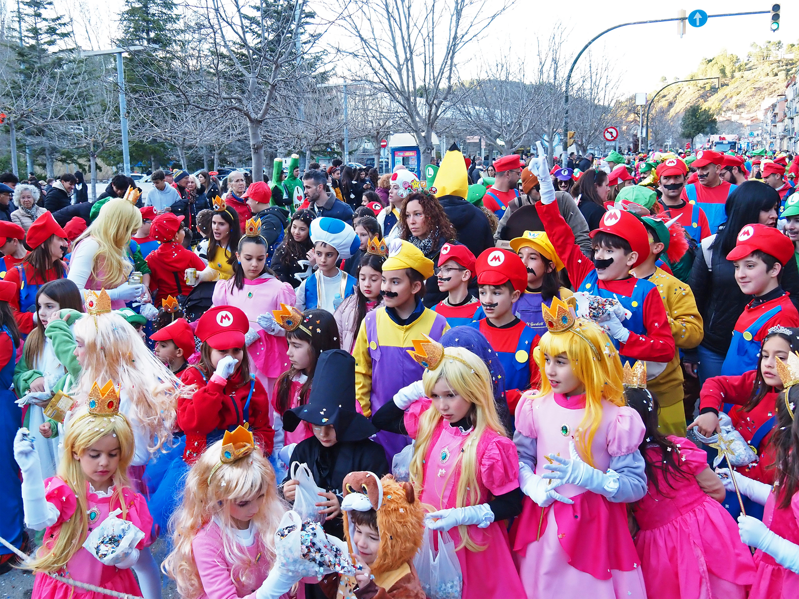 Participants en la rua del Carnestoltes de S&uacute;ria.