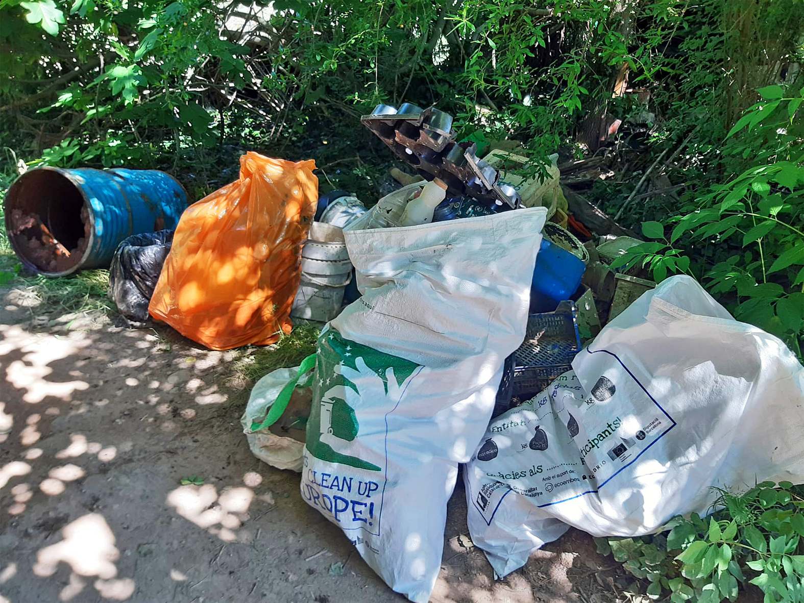 Residus recollits en entorns naturals de la vila, dins de la segona jornada de la campanya Let's Clean Up Europe a S&uacute;ria.