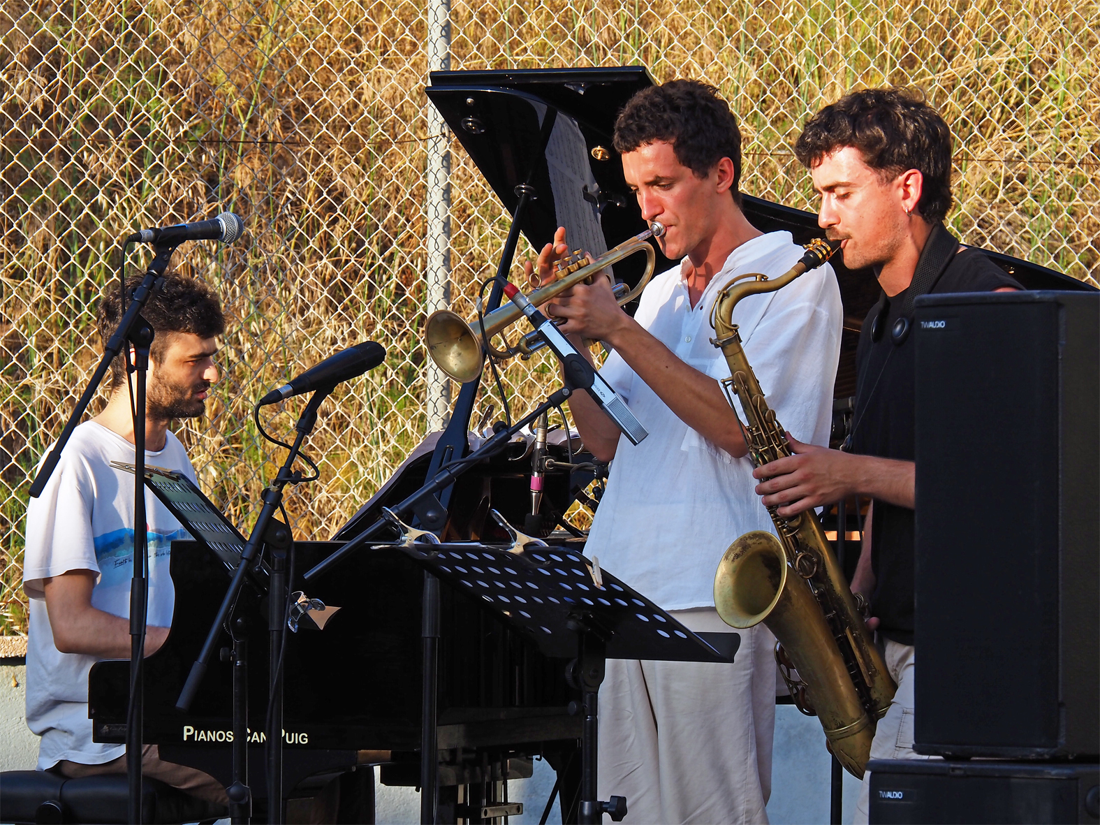 Imatge de l'actuaci&oacute; del grup de jazz Javier Rojo Quintet al pati del Foment Cultural, dins del 9&egrave; Festival Art en Cicle de S&uacute;ria.
