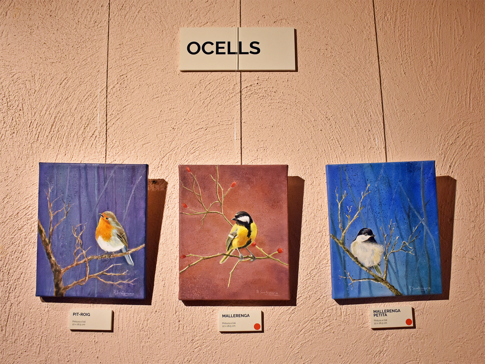 Obres de l'artista surienca Rosa Santamaria en l'exposici&oacute; 'Diversitat' a Cal Balaguer del Porxo.